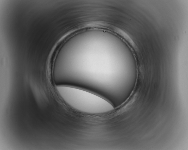 X0000099970931200805230959