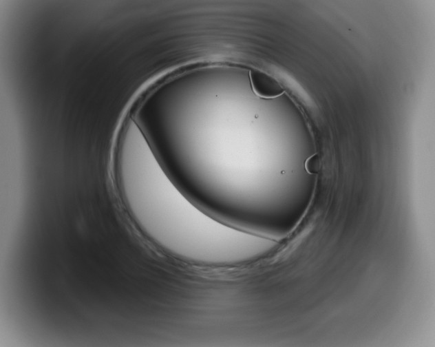 X0000099970932200805230959