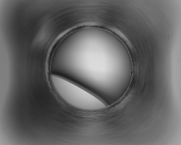 X0000099970935200805230959