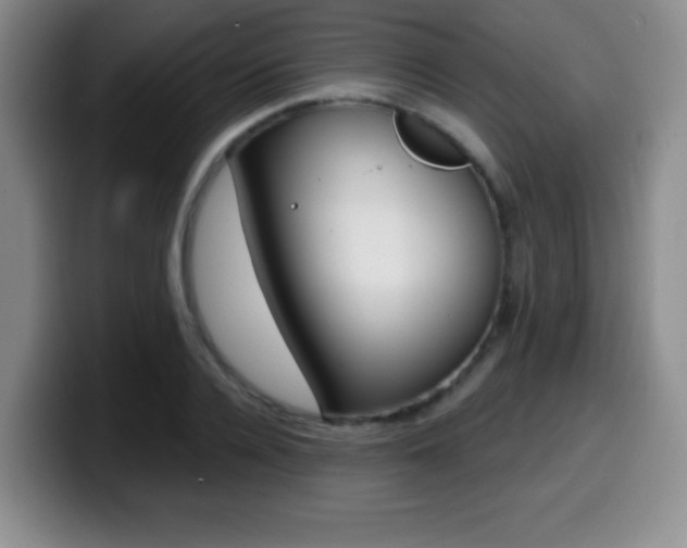 X0000099970936200805230959