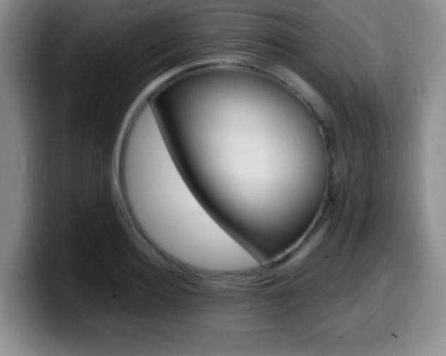 X0000099970940200805230959