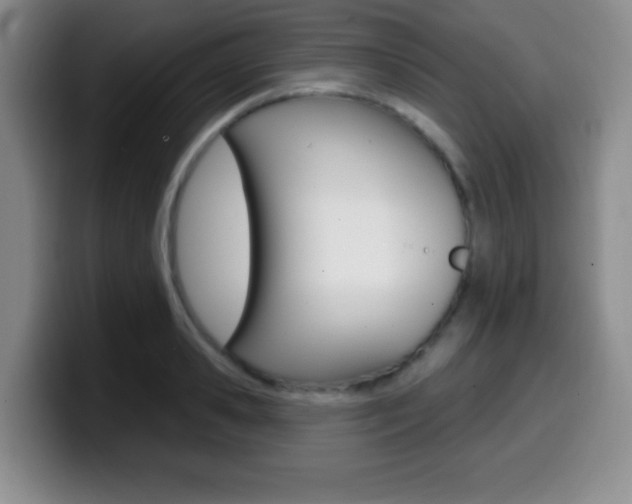 X0000099970941200805230959