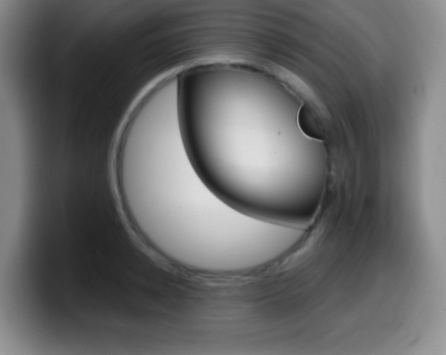 X0000099970942200805230959