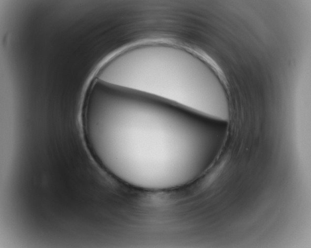 X0000099970943200805230959