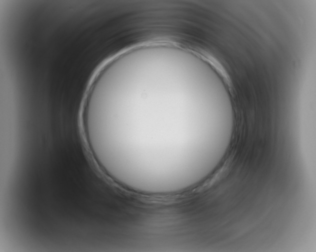 X0000099970944200805230959