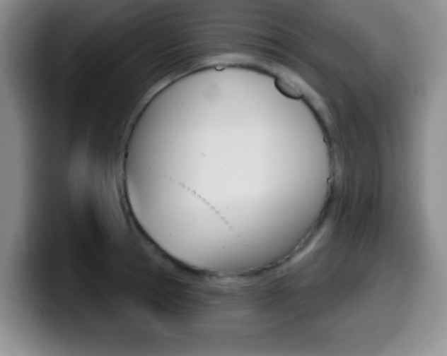 X0000099970945200805230959