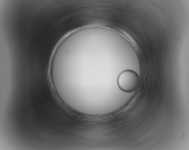 X0000099970948200805230959