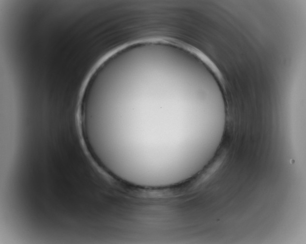 X0000099970951200805230959