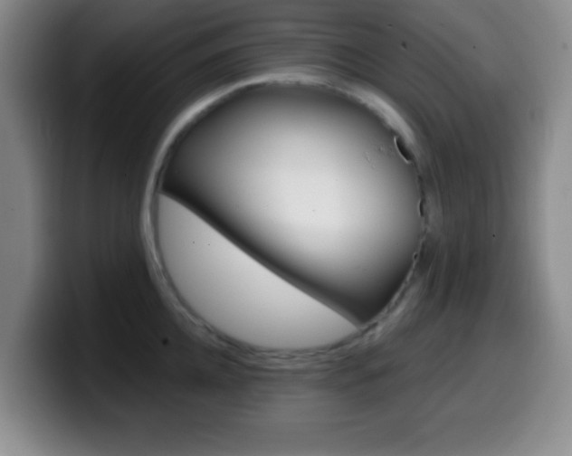 X0000099970952200805230959