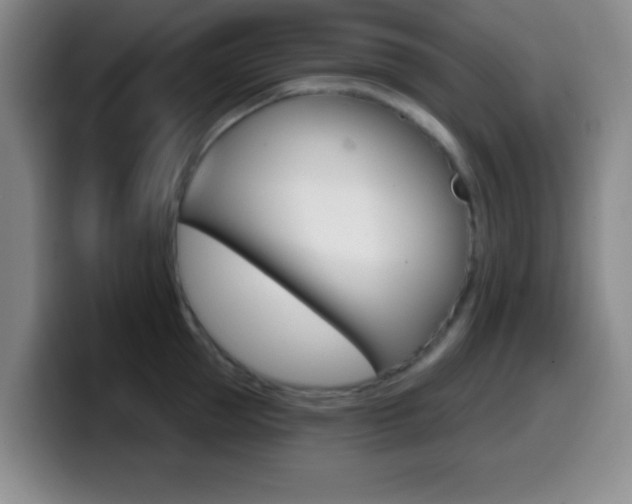 X0000099970953200805230959