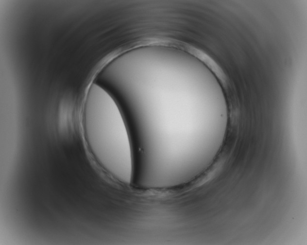 X0000099970954200805230959