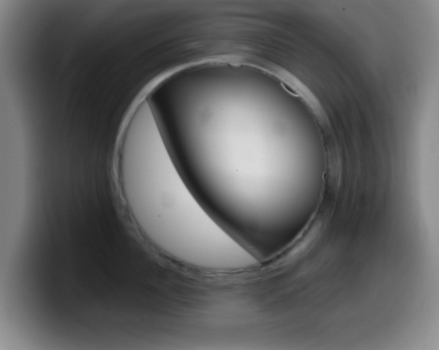 X0000099970956200805230959