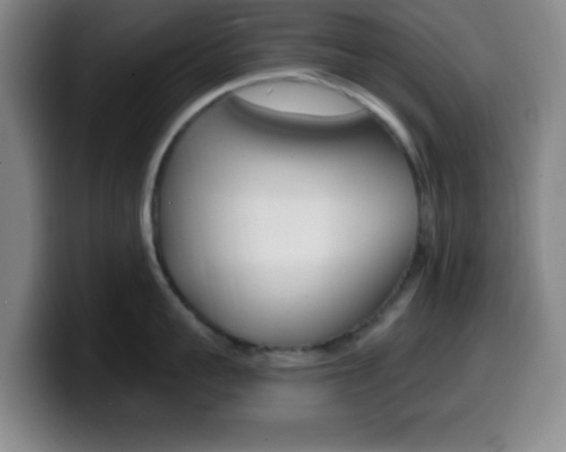 X0000099970959200805230959