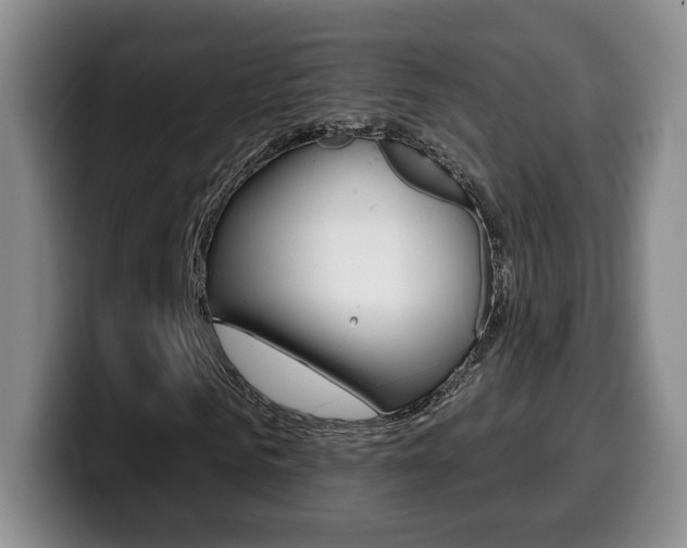 X0000099970961200805230958