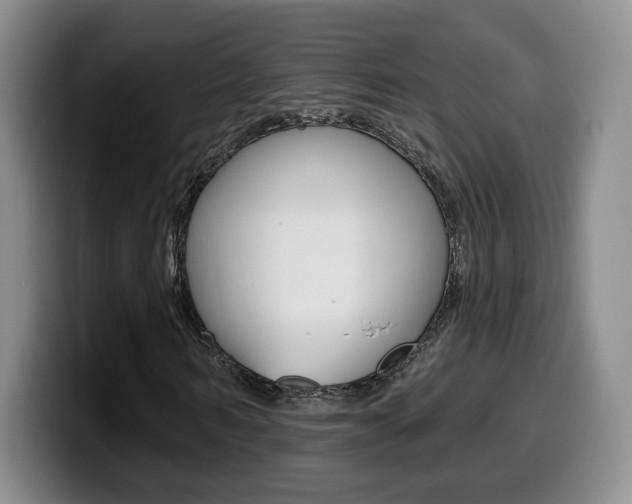 X0000099970962200805230958