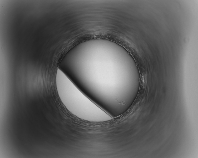 X0000099970963200805230958