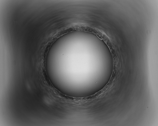 X0000099970965200805230958