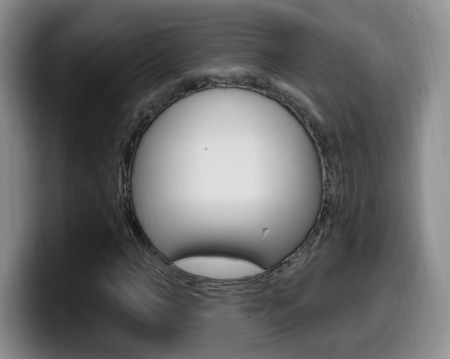 X0000099970966200805230958