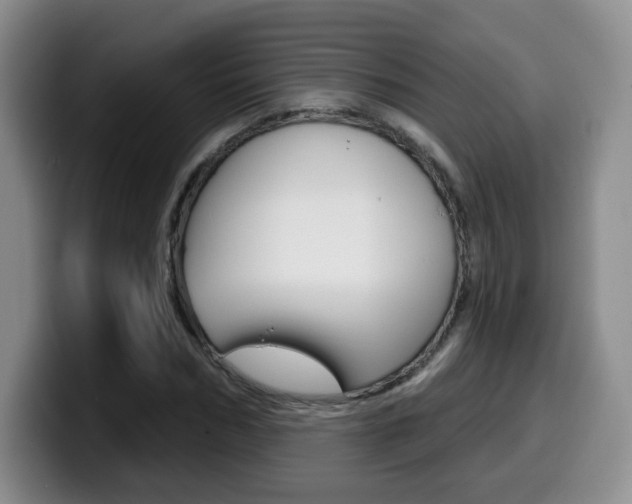 X0000099970970200805230958