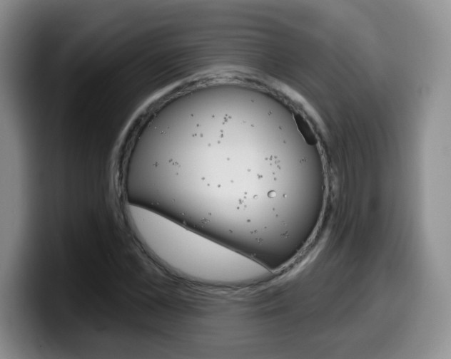 X0000099970973200805230958
