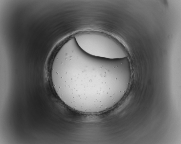 X0000099970974200805230958