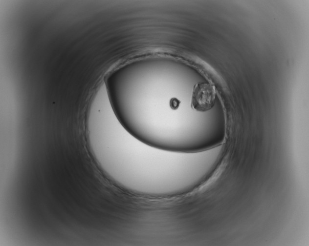 X0000099970977200805230958
