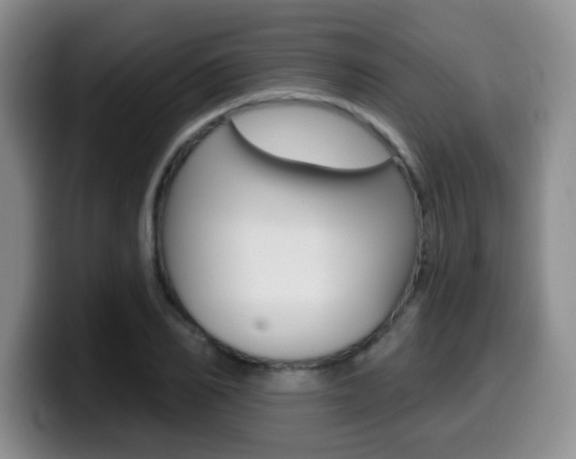 X0000099970982200805230958