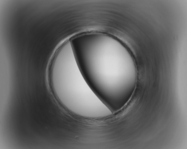 X0000099970983200805230958