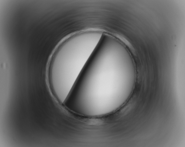 X0000099970984200805230958