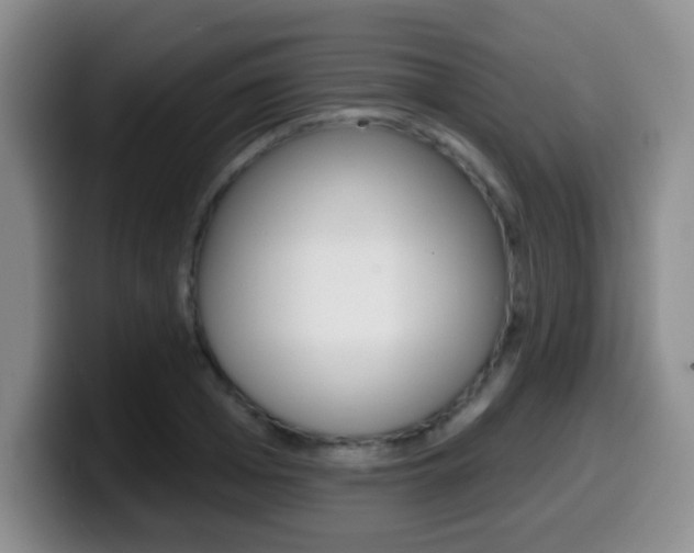 X0000099970985200805230958