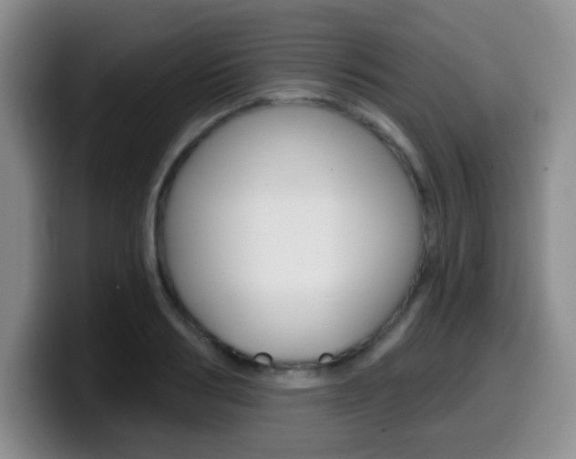 X0000099970986200805230958