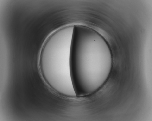 X0000099970988200805230958