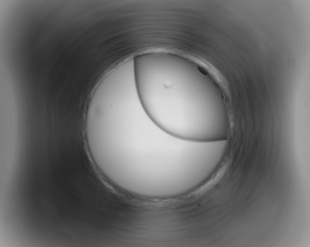 X0000099970993200805230958
