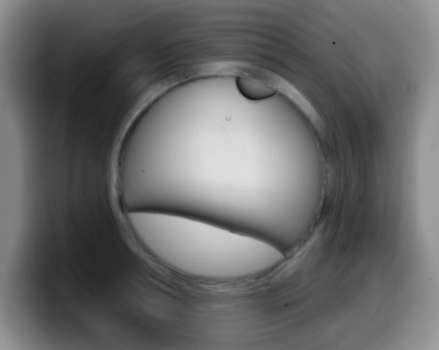 X0000099970994200805230958