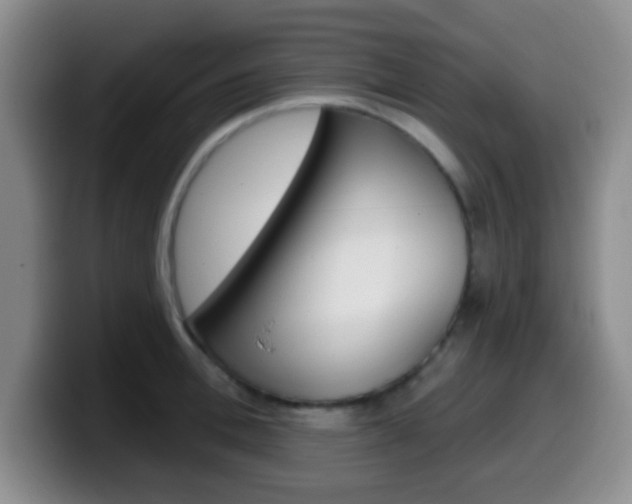 X0000099970996200805230958