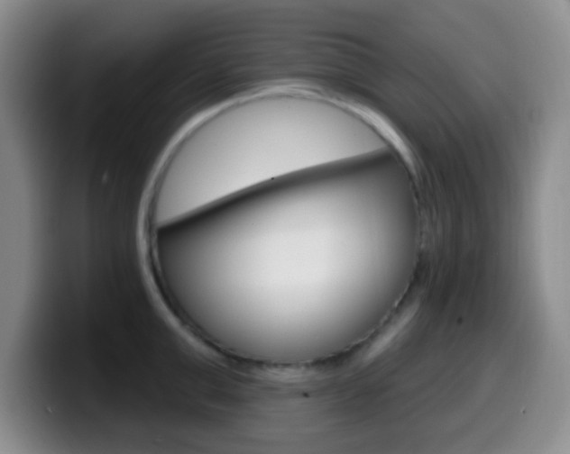 X0000099970999200805230958