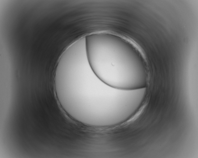 X0000099971001200805230958