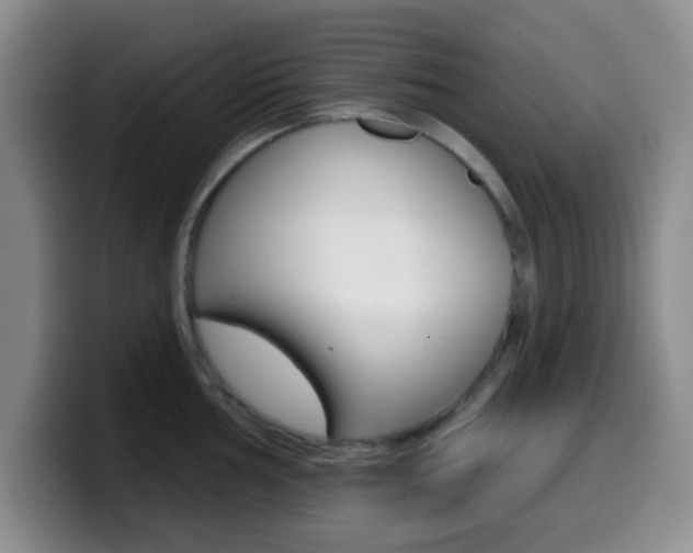 X0000099971002200805230958