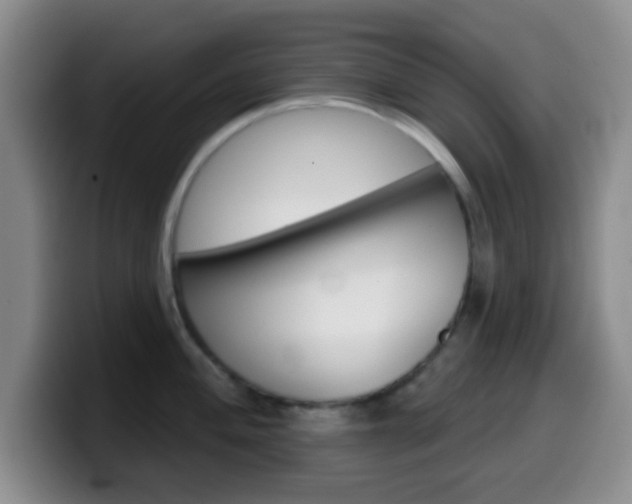 X0000099971004200805230958