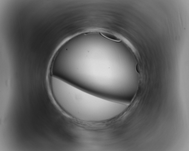 X0000099971007200805230958