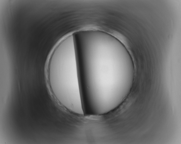 X0000099971008200805230958