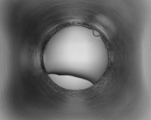 X0000099971015200805230957