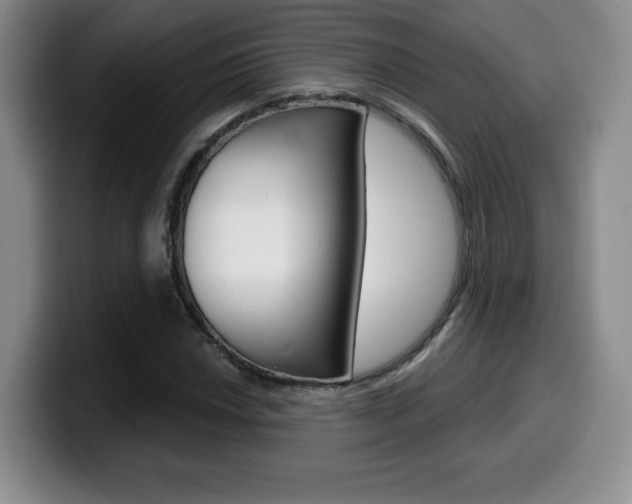 X0000099971018200805230957