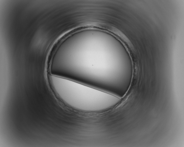 X0000099971020200805230957