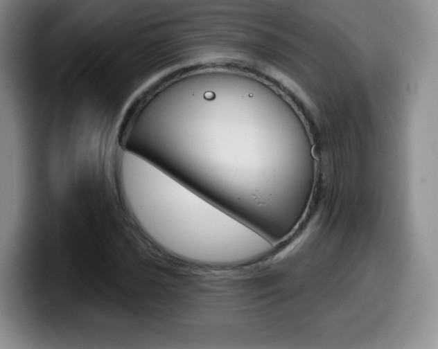 X0000099971021200805230957