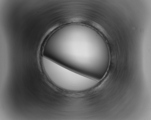 X0000099971026200805230957