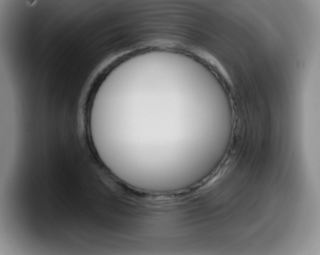 X0000099971027200805230957
