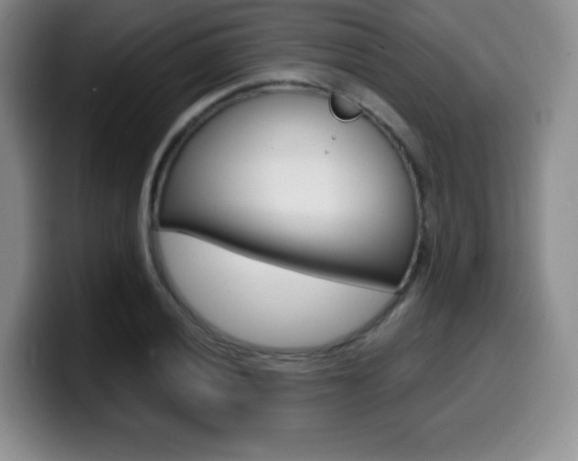 X0000099971028200805230957