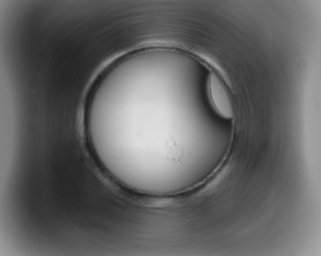 X0000099971030200805230957