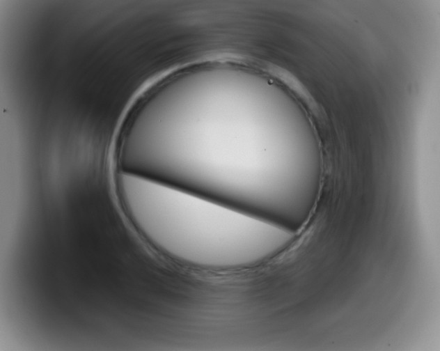 X0000099971032200805230957